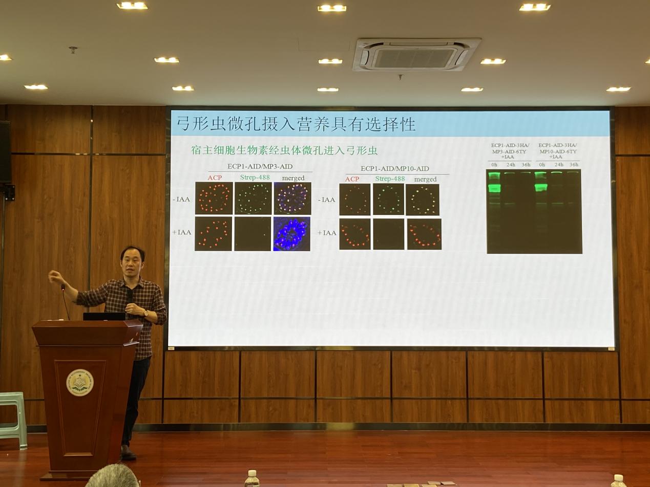 龙少军教授受邀来公司做学术报告