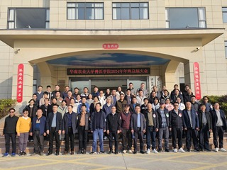 BETVLCTOR伟德官方网站举行2024年总结大会暨教职工趣味运动会