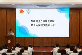 共青团BETVLCTOR伟德官方网站第十六次团员代表大会顺利召开