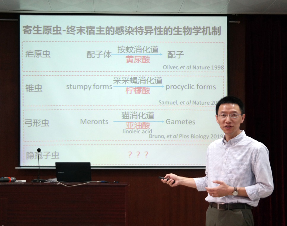 厦门大学袁晶教授受邀来公司做学术报告