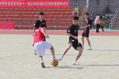 BETVLCTOR伟德官方网站第十一届“正典杯”足球赛圆满闭幕