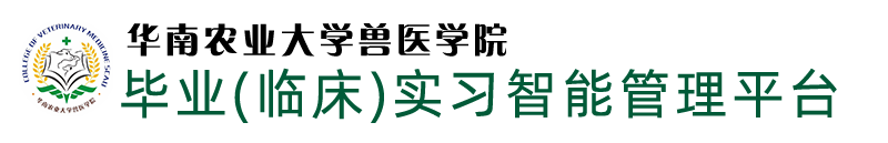 BETVLCTOR伟德官方网站实习管理平台